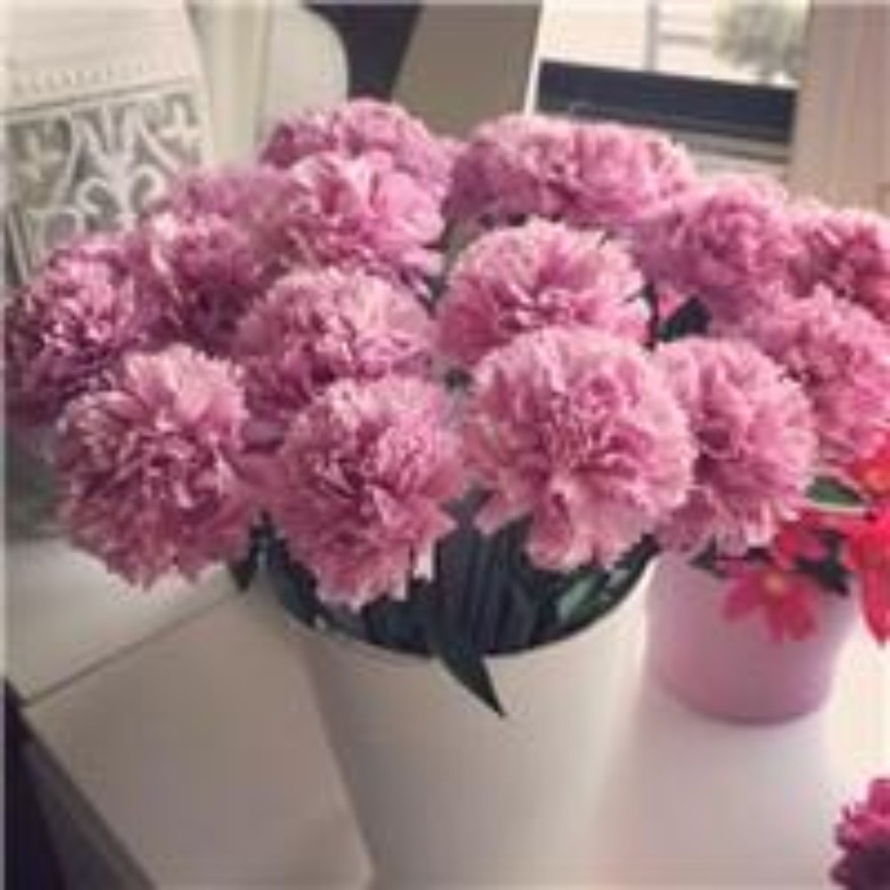 Meet your Posher, Andy